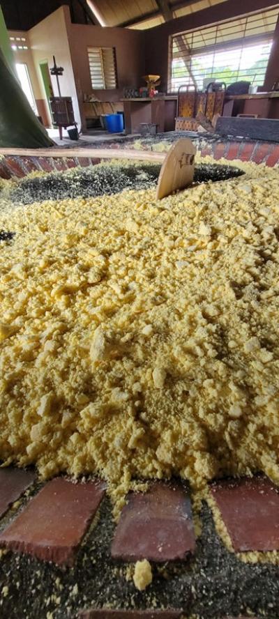 Fabrication de couac © M Llamas, Cirad